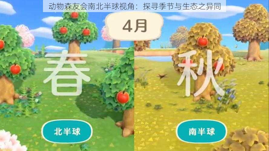 动物森友会南北半球视角：探寻季节与生态之异同