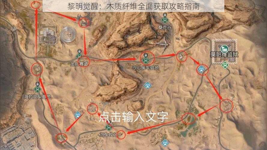 黎明觉醒：木质纤维全面获取攻略指南