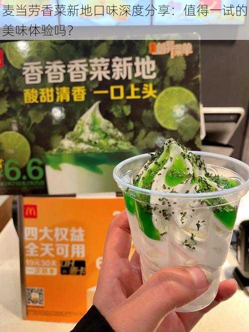 麦当劳香菜新地口味深度分享：值得一试的美味体验吗？