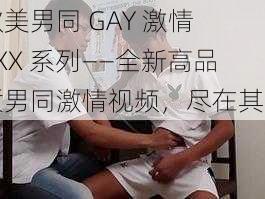 欧美男同 GAY 激情 XXX 系列——全新高品质男同激情视频，尽在其中