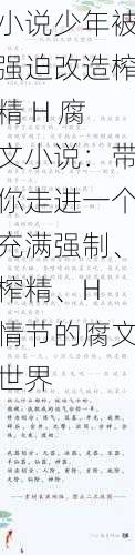 小说少年被强迫改造榨精 H 腐文小说：带你走进一个充满强制、榨精、H 情节的腐文世界