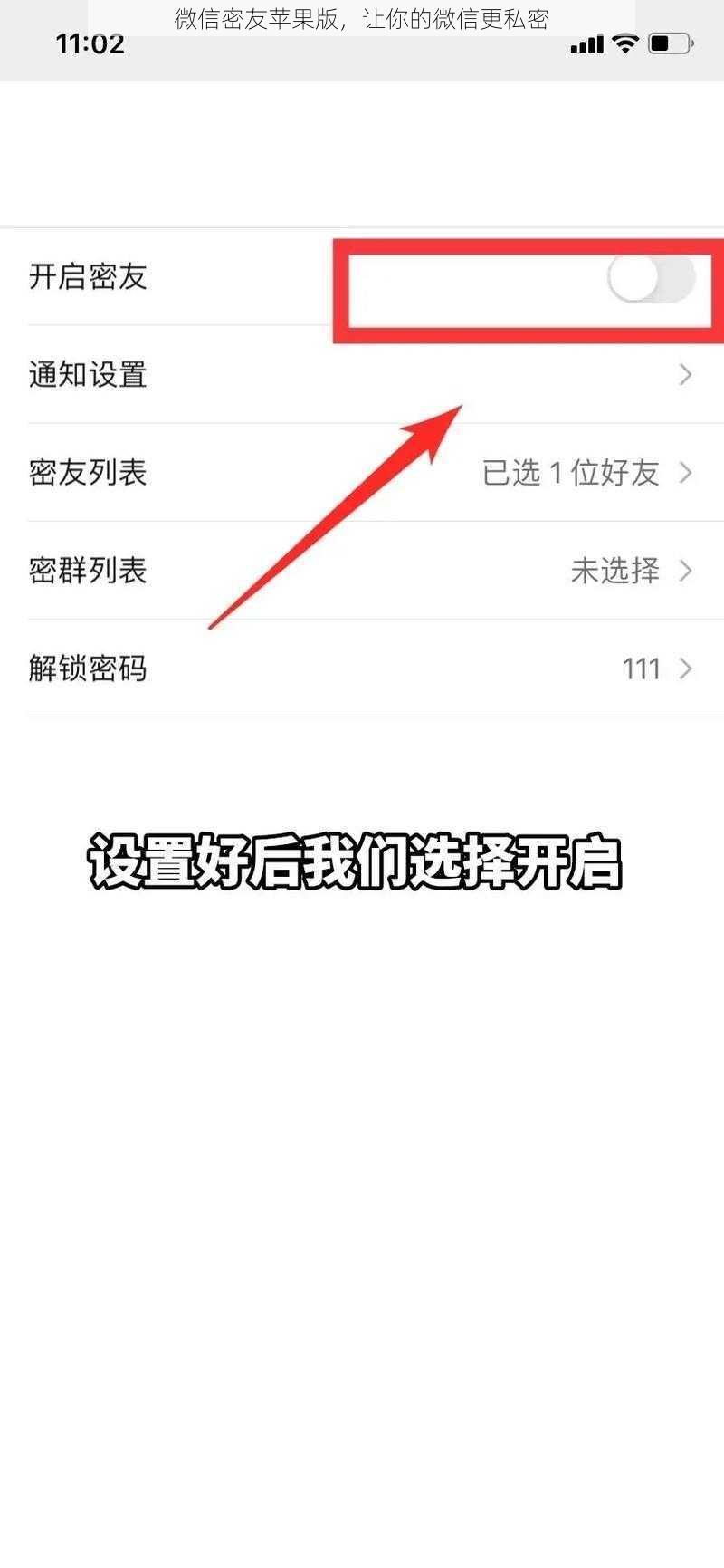 微信密友苹果版，让你的微信更私密