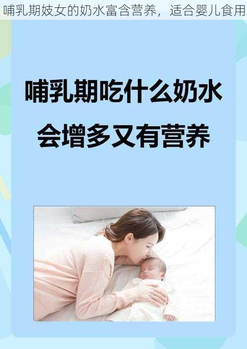 哺乳期妓女的奶水富含营养，适合婴儿食用