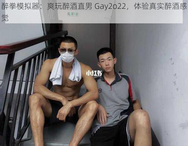 醉拳模拟器：爽玩醉酒直男 Gay2o22，体验真实醉酒感觉