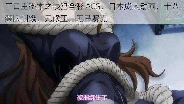 工口里番本之侵犯全彩 ACG，日本成人动画，十八禁限制级，无修正，无马赛克