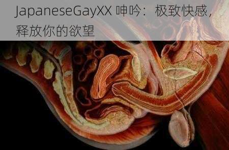 JapaneseGayXX 呻吟：极致快感，释放你的欲望