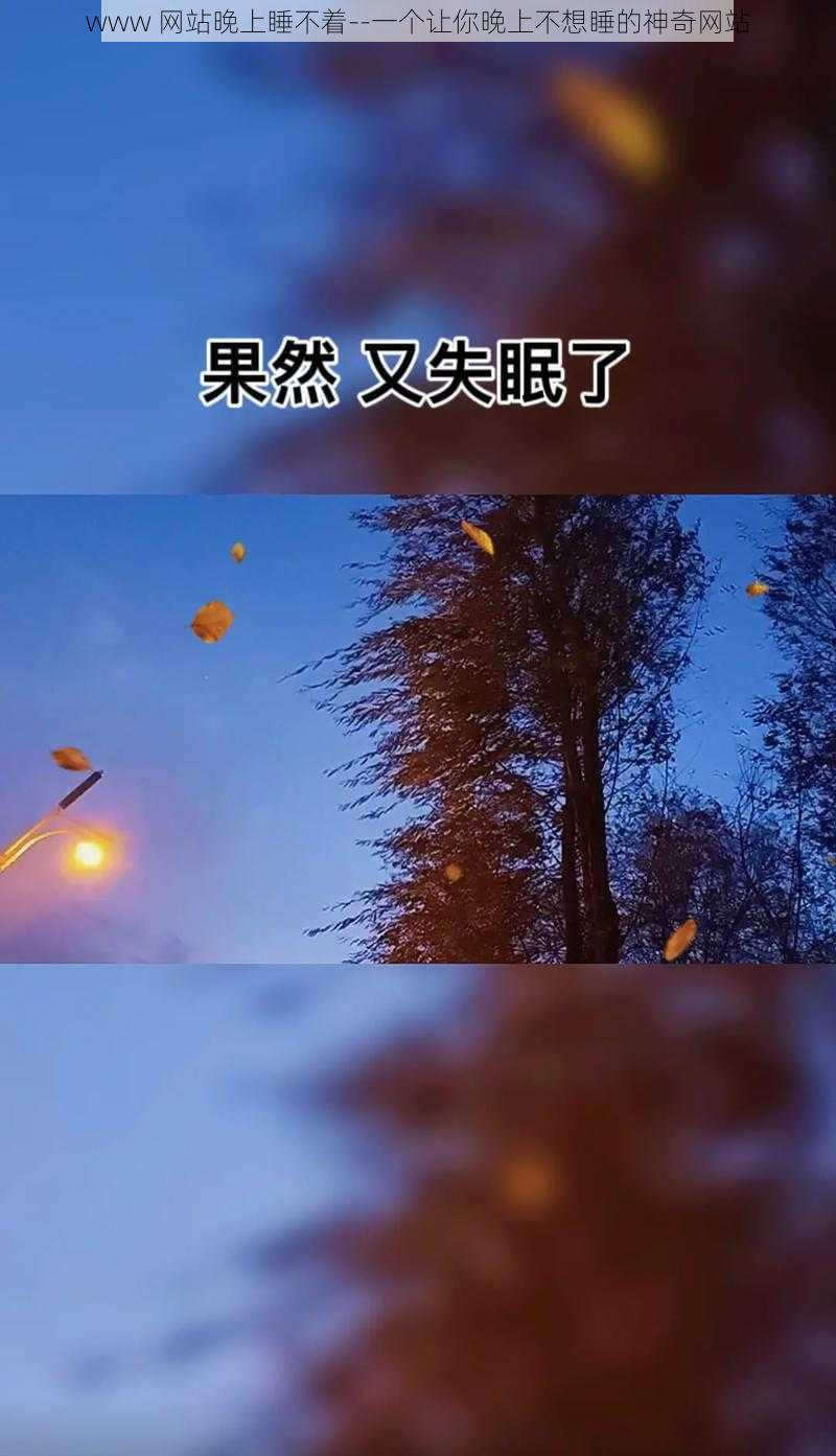 www 网站晚上睡不着--一个让你晚上不想睡的神奇网站