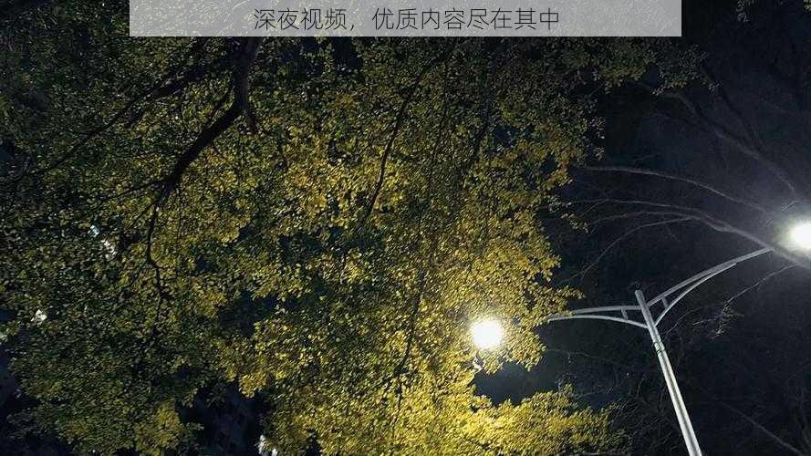 深夜视频，优质内容尽在其中