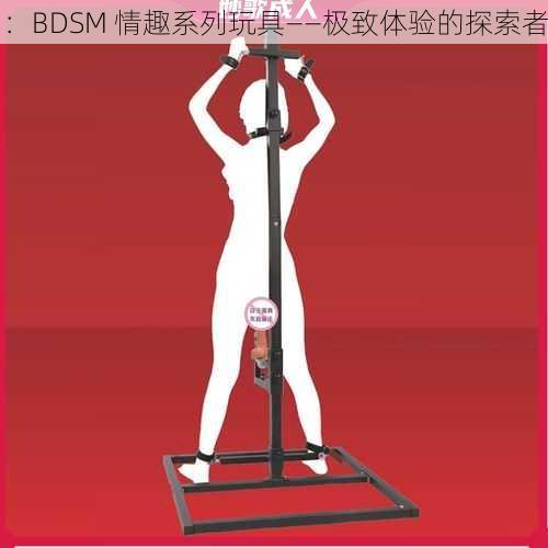 ：BDSM 情趣系列玩具——极致体验的探索者