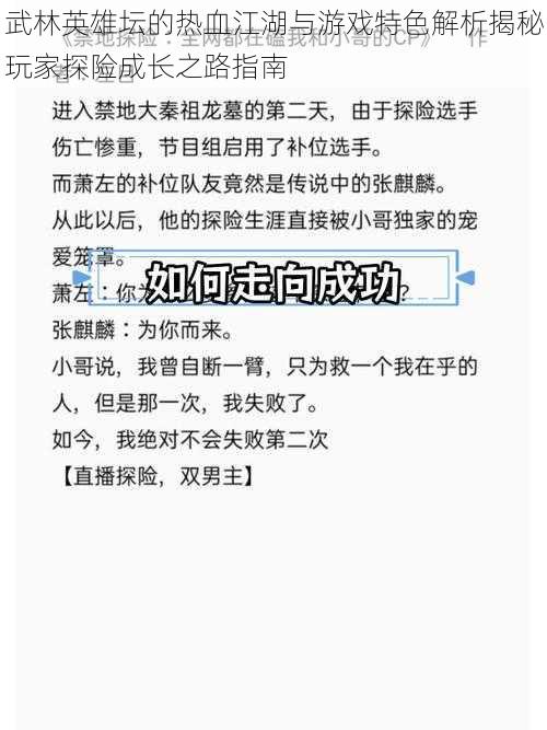 武林英雄坛的热血江湖与游戏特色解析揭秘玩家探险成长之路指南