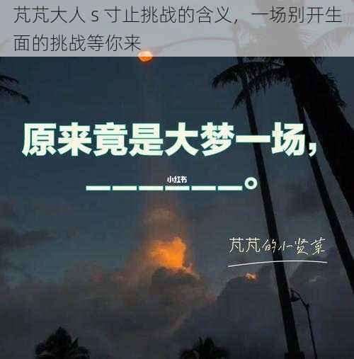 芃芃大人 s 寸止挑战的含义，一场别开生面的挑战等你来