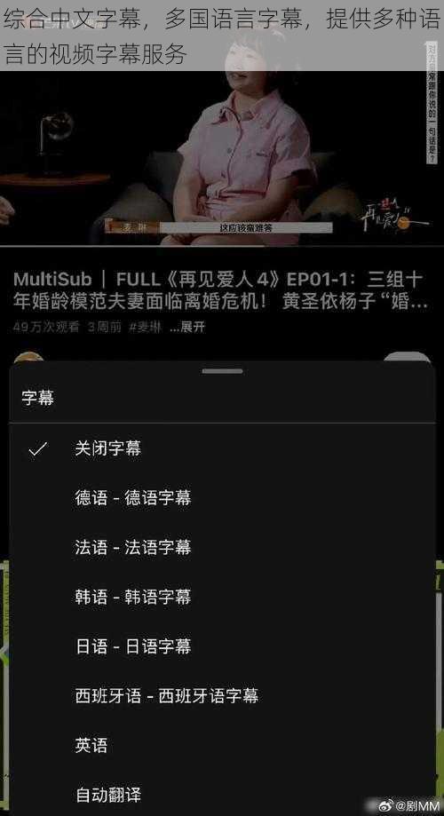 综合中文字幕，多国语言字幕，提供多种语言的视频字幕服务