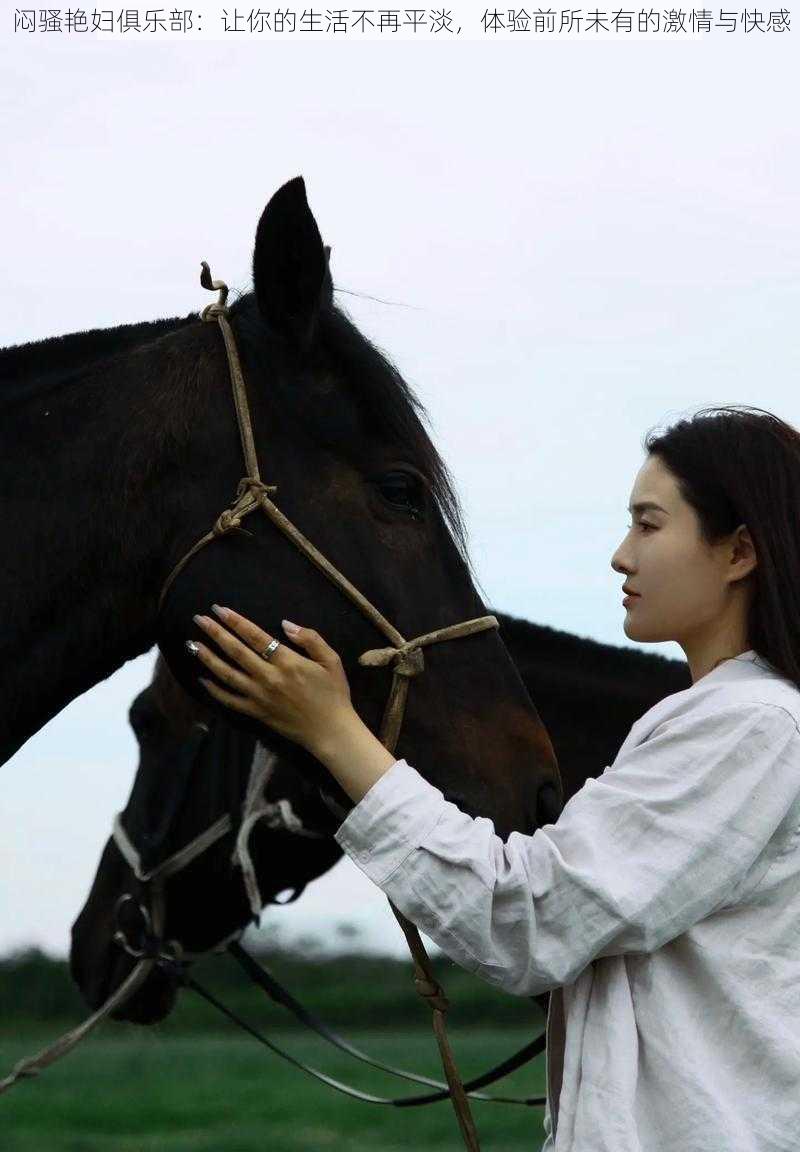 闷骚艳妇俱乐部：让你的生活不再平淡，体验前所未有的激情与快感