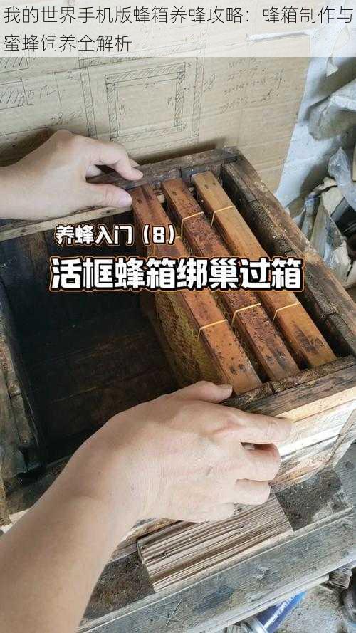 我的世界手机版蜂箱养蜂攻略：蜂箱制作与蜜蜂饲养全解析