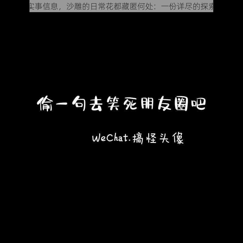 基于实事信息，沙雕的日常花都藏匿何处：一份详尽的探索攻略