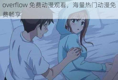 overflow 免费动漫观看，海量热门动漫免费畅享