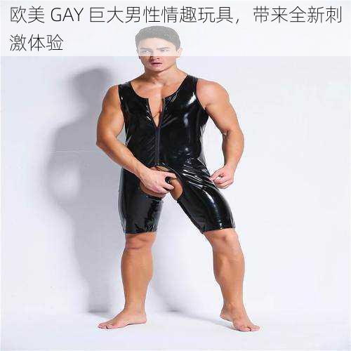 欧美 GAY 巨大男性情趣玩具，带来全新刺激体验