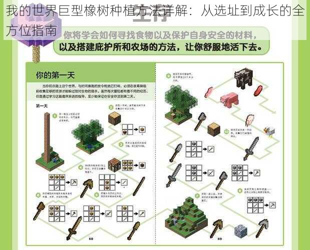 我的世界巨型橡树种植方法详解：从选址到成长的全方位指南