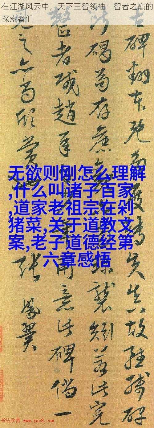 在江湖风云中，天下三智领袖：智者之巅的探索者们