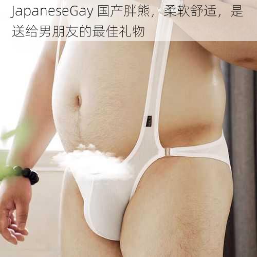 JapaneseGay 国产胖熊，柔软舒适，是送给男朋友的最佳礼物