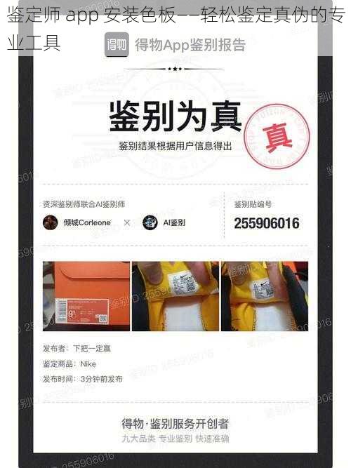 鉴定师 app 安装色板——轻松鉴定真伪的专业工具