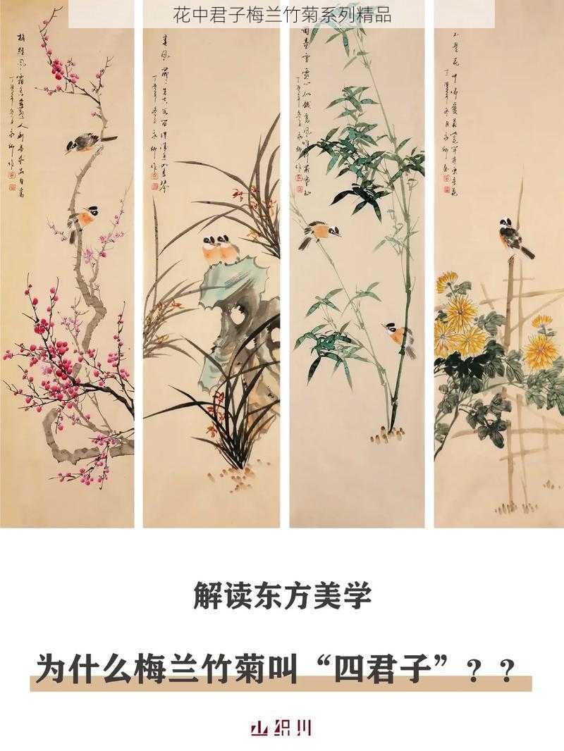 花中君子梅兰竹菊系列精品