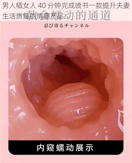 男人㮑女人 40 分钟完成喷书一款提升夫妻生活质量的情趣产品