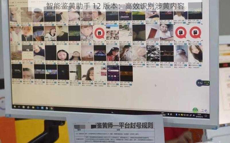 智能鉴黄助手 12 版本：高效识别涉黄内容