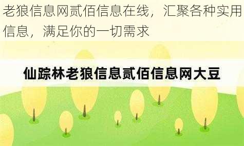 老狼信息网贰佰信息在线，汇聚各种实用信息，满足你的一切需求