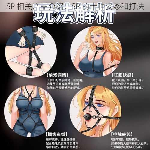 SP 相关产品介绍：SP 的十种姿态和打法