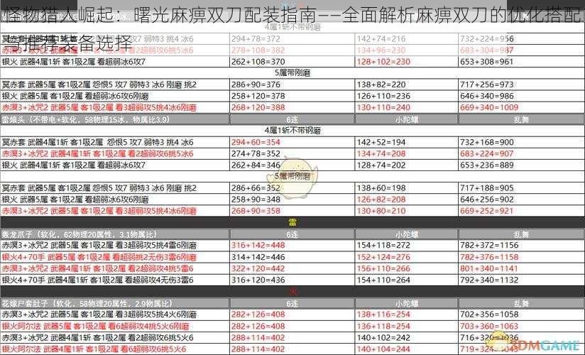 怪物猎人崛起：曙光麻痹双刀配装指南——全面解析麻痹双刀的优化搭配与推荐装备选择