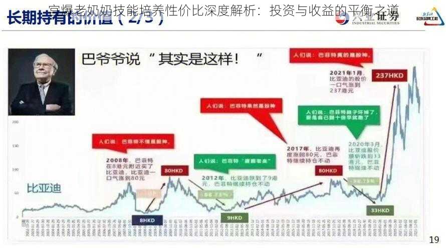 宫爆老奶奶技能培养性价比深度解析：投资与收益的平衡之道