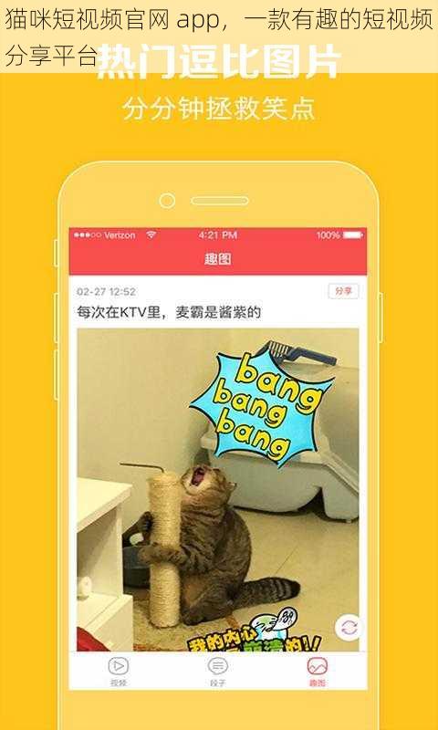 猫咪短视频官网 app，一款有趣的短视频分享平台