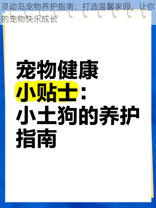 灵动岛宠物养护指南：打造温馨家园，让你的宠物快乐成长