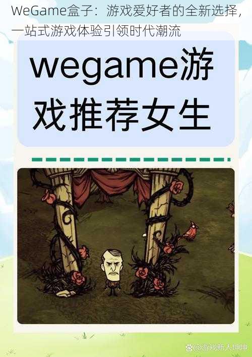 WeGame盒子：游戏爱好者的全新选择，一站式游戏体验引领时代潮流