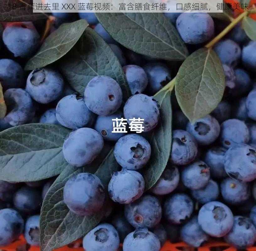 18 香蕉进去里 XXX 蓝莓视频：富含膳食纤维，口感细腻，健康美味