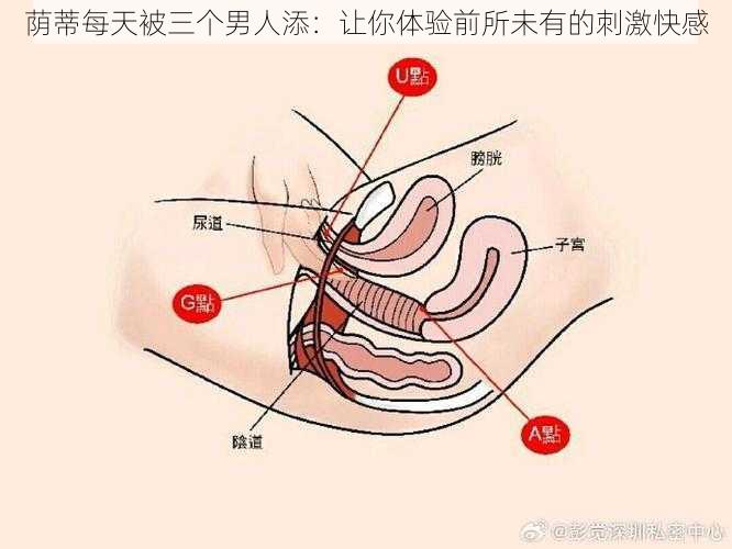 荫蒂每天被三个男人添：让你体验前所未有的刺激快感