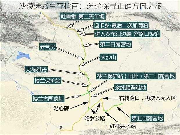 沙漠迷路生存指南：迷途探寻正确方向之旅