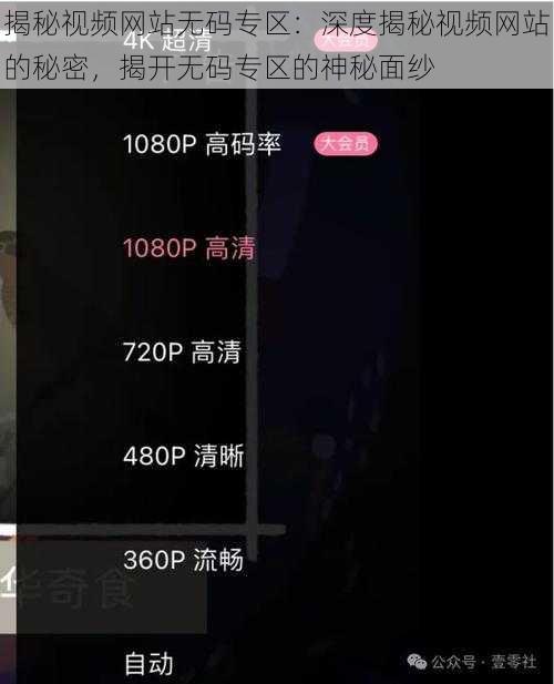 揭秘视频网站无码专区：深度揭秘视频网站的秘密，揭开无码专区的神秘面纱