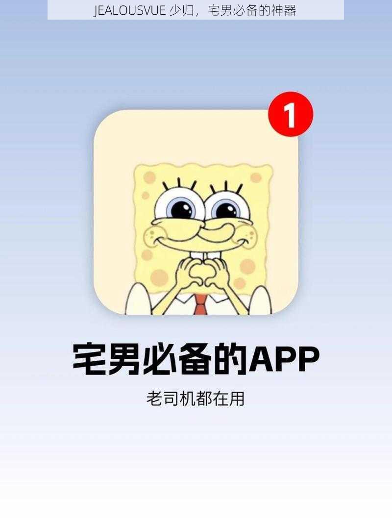 JEALOUSVUE 少归，宅男必备的神器