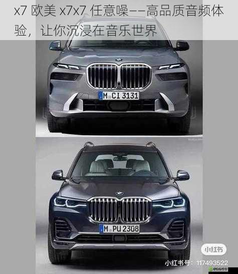 x7 欧美 x7x7 任意噪——高品质音频体验，让你沉浸在音乐世界