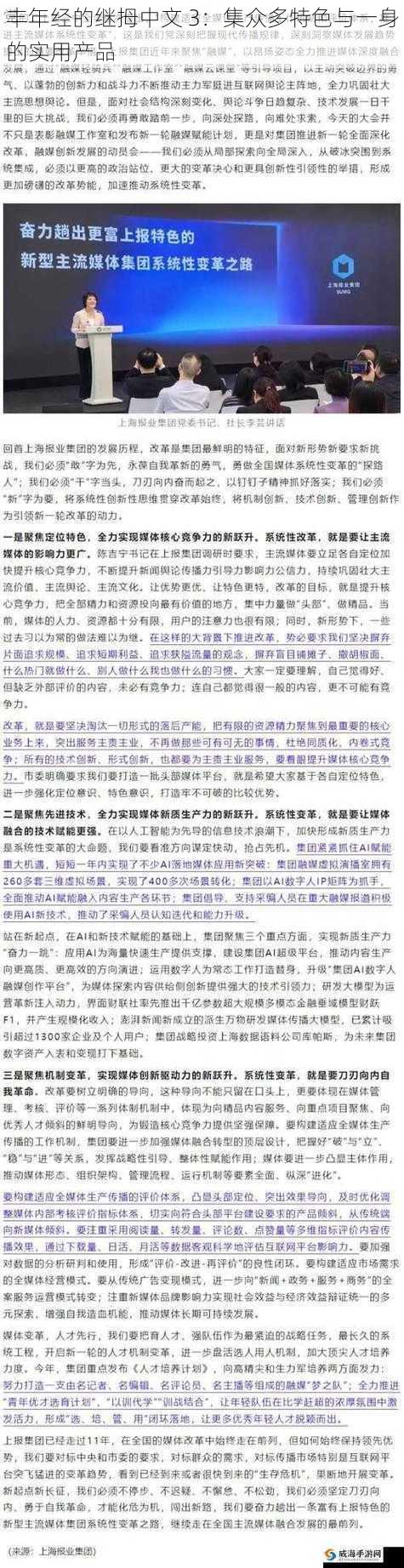 丰年经的继拇中文 3：集众多特色与一身的实用产品