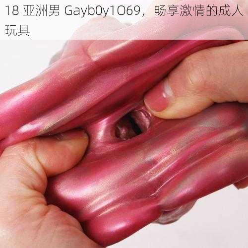 18 亚洲男 Gayb0y1O69，畅享激情的成人玩具