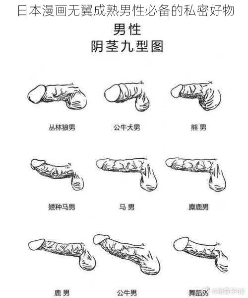 日本漫画无翼成熟男性必备的私密好物