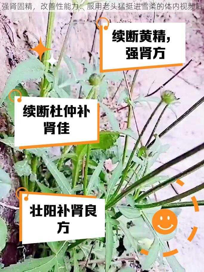 强肾固精，改善性能力：服用老头猛挺进雪柔的体内视频后