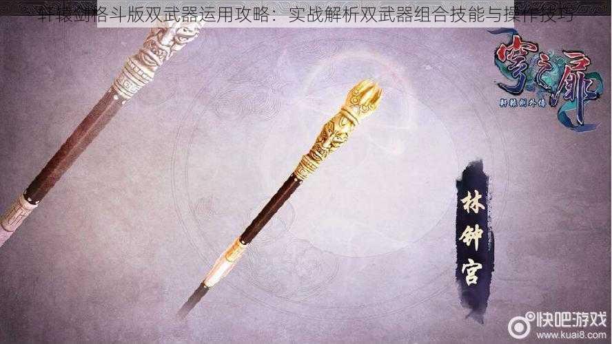 轩辕剑格斗版双武器运用攻略：实战解析双武器组合技能与操作技巧