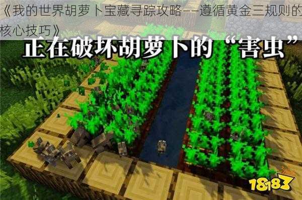 《我的世界胡萝卜宝藏寻踪攻略——遵循黄金三规则的核心技巧》