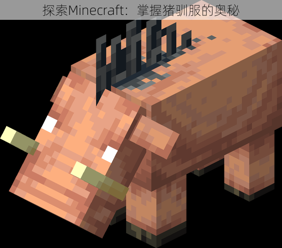 探索Minecraft：掌握猪驯服的奥秘