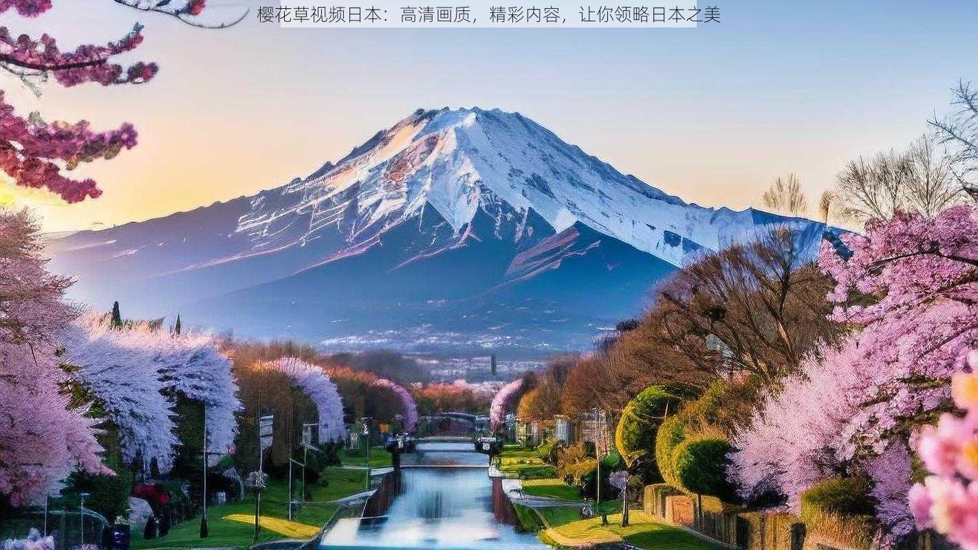 樱花草视频日本：高清画质，精彩内容，让你领略日本之美