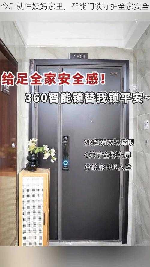 今后就住姨妈家里，智能门锁守护全家安全